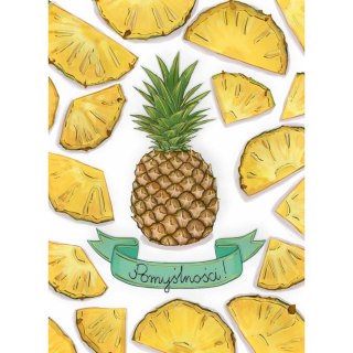 Kartka składana B6 Karnet B6 ANANAS HS TŁ Henry (5907465665834)