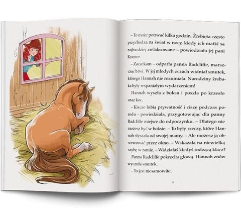 Książeczka edukacyjna HORSE CLUB. Imię dla źrebaka Ameet (LNR 8401)