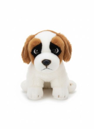 Pluszak pies Bernardyn [mm:] 300 Anek (84404BE)