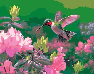 Zestaw kreatywny Malowanie po numerach 40x50cm Koliber Flamingo Line (FSY213)