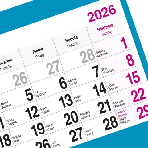 Kalendarz ścienny PALMY 310mm x 790mm Press