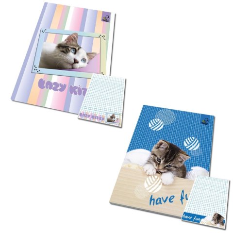 Notes (notatnik) A5 50k. krata Ev-corp (BB24221849)