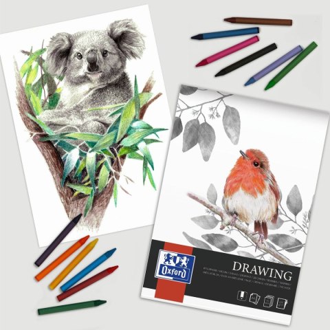 Blok artystyczny RYSUNKOWY PREMIUM A4 200g 25k Oxford (400166121)