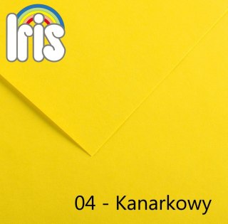 Brystol Iris 04 A3 kanarkowy 185g 50k [mm:] 297x420 Canson (200040183)