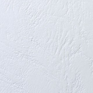 Karton do bindowania A4 biały 250g Argo (407011)