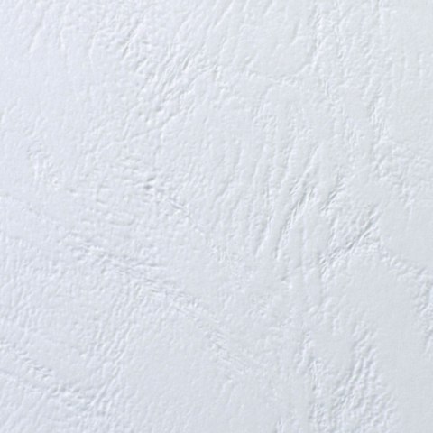 Karton do bindowania A4 biały 250g Argo (407011)