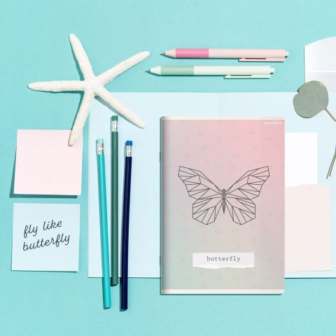 Zeszyt A5 Linea 16k. 70g krata [mm:] 150x210 TOP-2000 (400159966)