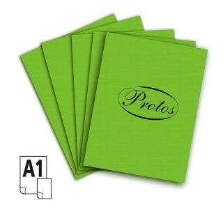 Brystol A1 A1 zielony jasny 160-180g 20k [mm:] 610x860 Protos