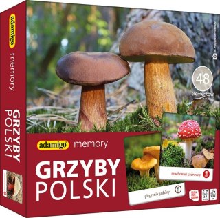 Gra pamięciowa GRZYBY POLSKIE Adamigo