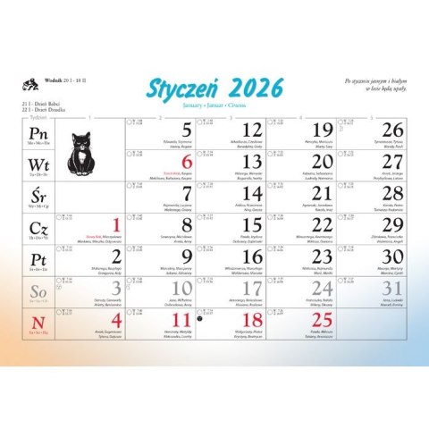 Kalendarz ścienny koty i kotki rodzinny 280mm x 200mm Lucrum (WL09)