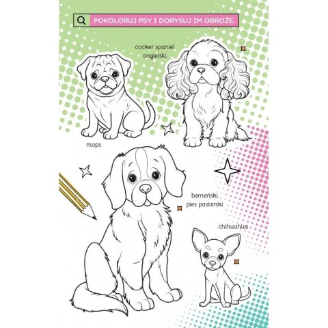 Książka dla dzieci Supermodelki z naklejkami. Kolorowanka przyjaciółki zwierząt