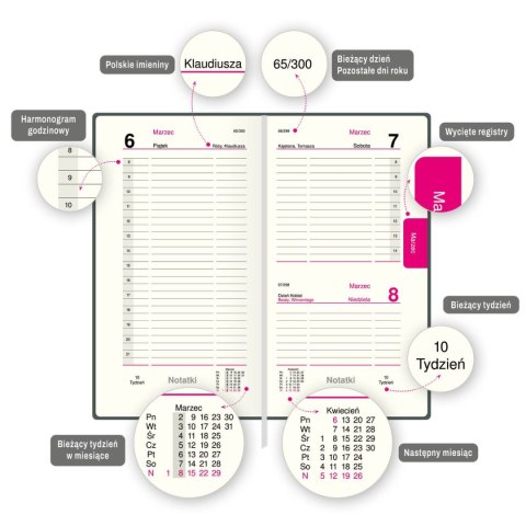 Organizer 3/4 B5 ORGANIZER (mix) Press (dzienny)