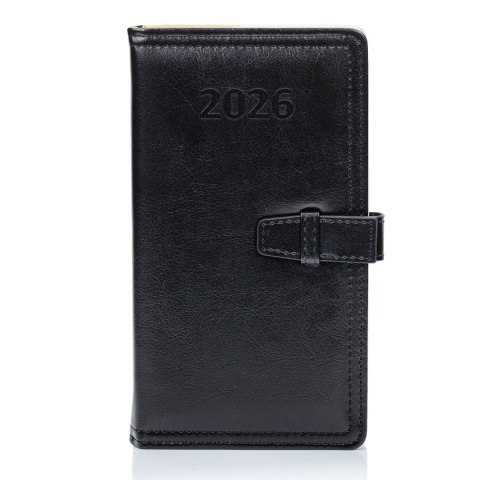 Organizer 3/4 B5 ORGANIZER (mix) Press (dzienny)